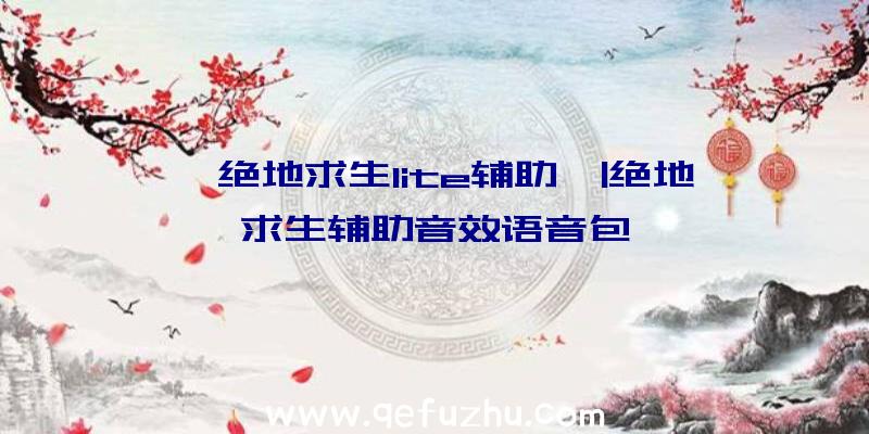 「绝地求生lite辅助」|绝地求生辅助音效语音包